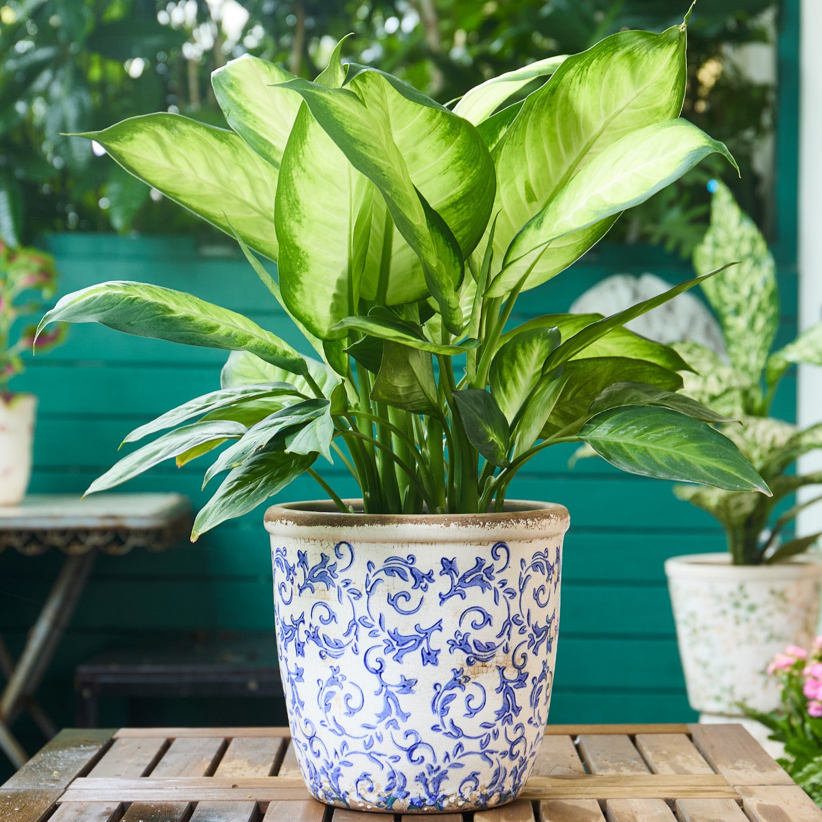 TEWEIQI  Farmhouse Ceramic Planter, Iced Crack Blue Flowers Vintage-inspired Ceramic Planter, 5.4” or 6.3" Height